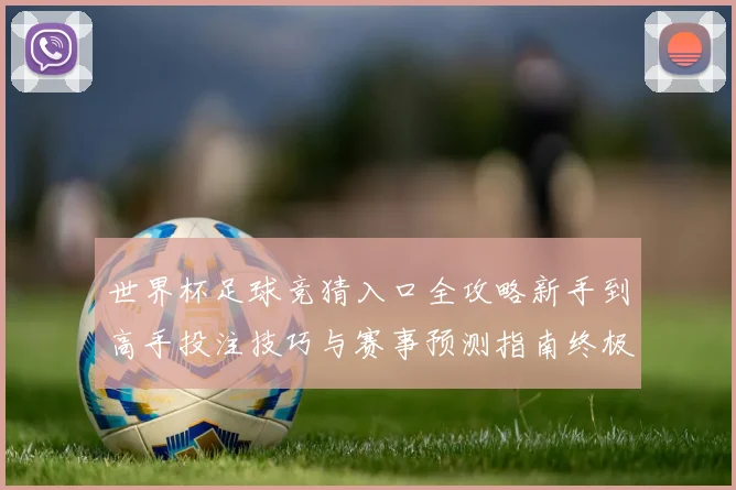世界杯足球竞猜入口全攻略新手到高手投注技巧与赛事预测指南终极