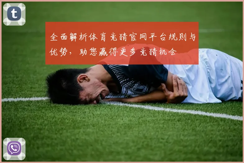 全面解析体育竞猜官网平台规则与优势，助您赢得更多竞猜机会