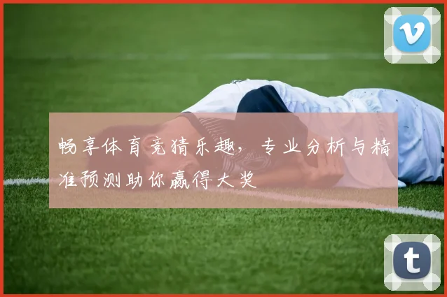 畅享体育竞猜乐趣，专业分析与精准预测助你赢得大奖