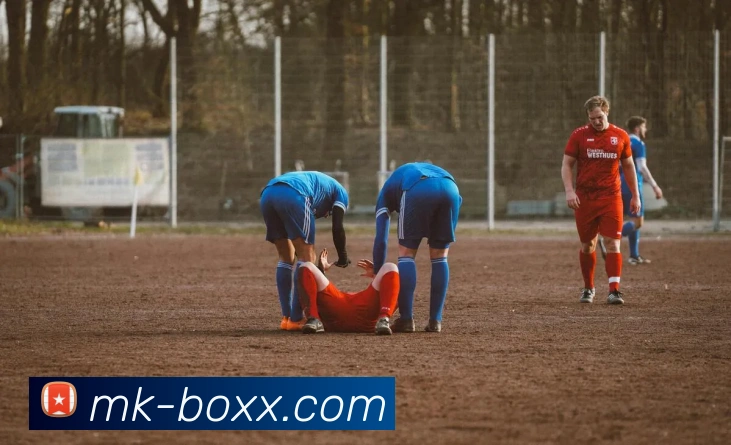 MK体育平台展示图