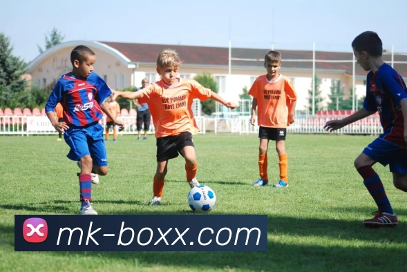 MK体育入口全新升级体验指南助您轻松畅享运动赛事精彩